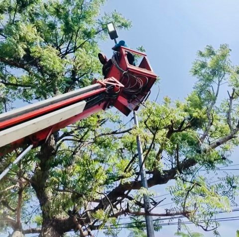 Cb54fee2 7f6d 4937 91bc 5bc5231bd120