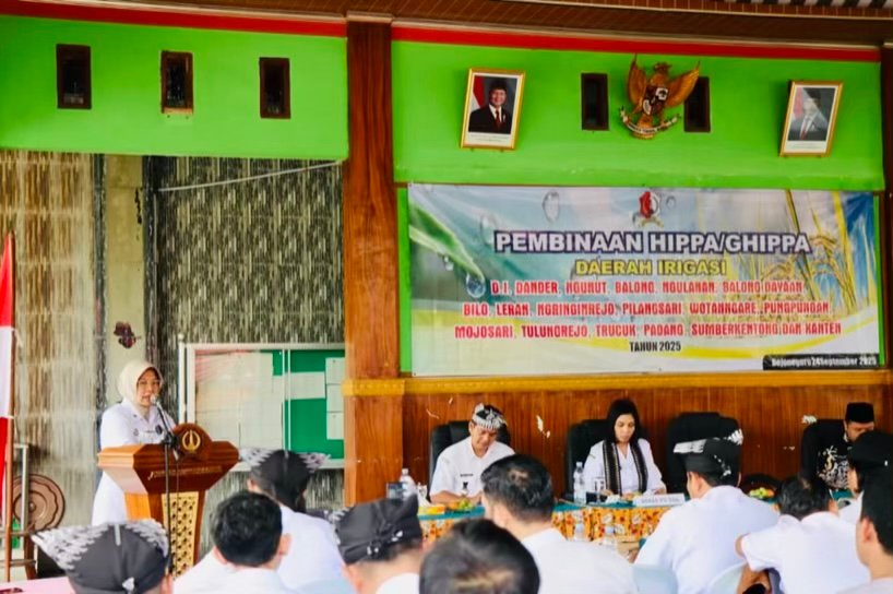 E1aa28a6 66ba 4f90 9286 c52f121a84b1