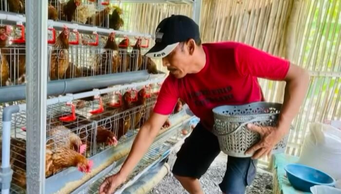 Cerita Sukses Sariyanto warga Desa Piyak di Program GAYATRI