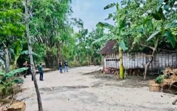 13cee0ec 9b49 4ae1 bb05 fae7dac59674