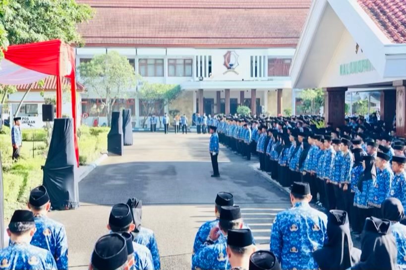 1bd89d85 8019 4cbd 88fe 0dd7fb3496fa