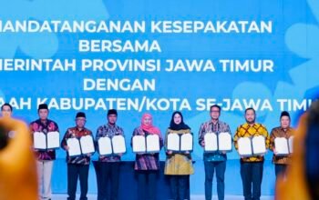 31855db6 11ea 427c a047 79e6847e46c4