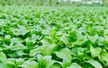 40512a7f e6d6 45bc aac2 8d2a4a8ef5f0