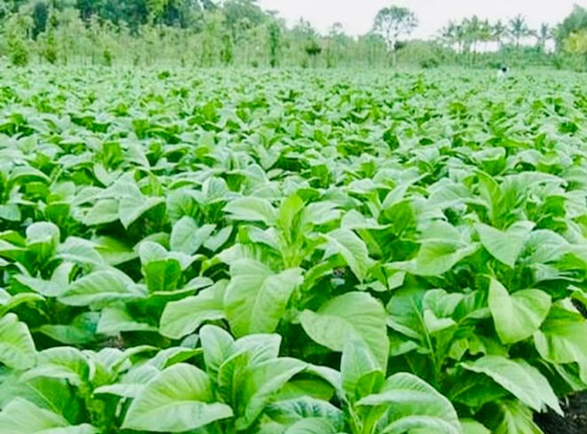 40512a7f e6d6 45bc aac2 8d2a4a8ef5f0