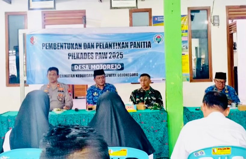 6bb3a60c 5a71 41ed 85b3 b5fdd25efb98