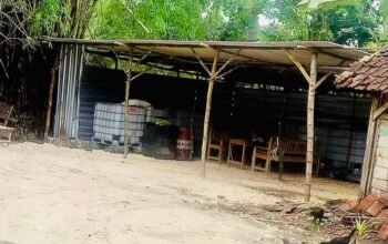 74635a04 87cb 4c85 b0e1 52524f61077e