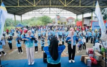 75d7edf3 556f 493b a3d8 fe3829ef729b