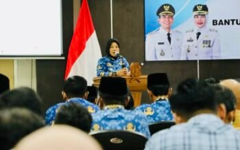 77988a51 6ee0 41da b495 73a7cd233098