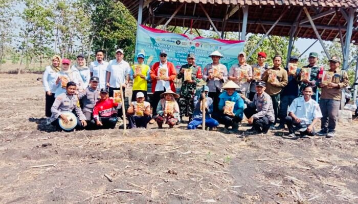 Polsek Kedungadem Serentak Tanam Jagung, Perkuat Swasembada Pangan 2025