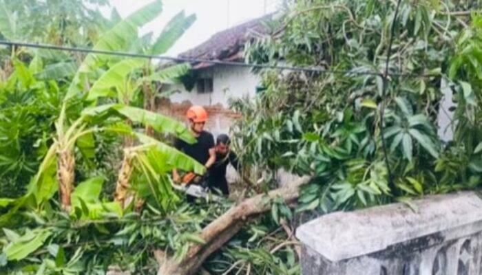 BPBD Bojonegoro Tanggap Menghadapi Dampak Angin Kencang