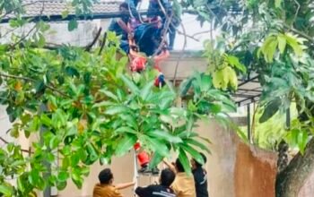 F5ebd2a8 05f4 4005 aff0 cc545134ac92