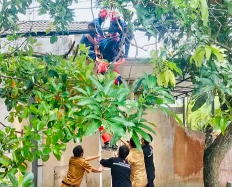 F5ebd2a8 05f4 4005 aff0 cc545134ac92