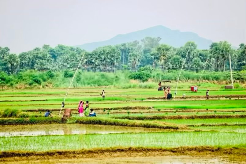 25C93F4E 8336 4407 AF5B 96991A49BFA7