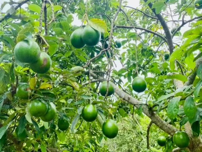 53BEB956 D796 4019 8436 0A4CFA30585F