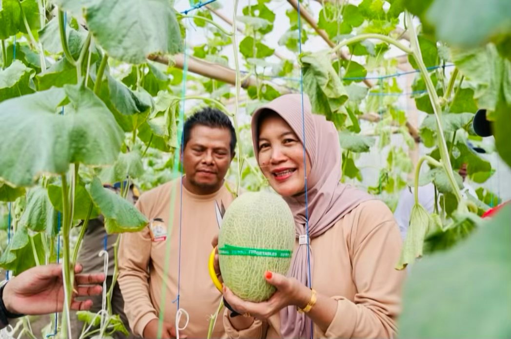 55AB1427 CDEA 44DB 9E6A CF0FEF184991