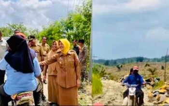 673ad2a6 0d65 470b a7cc 9e400cedeb6d