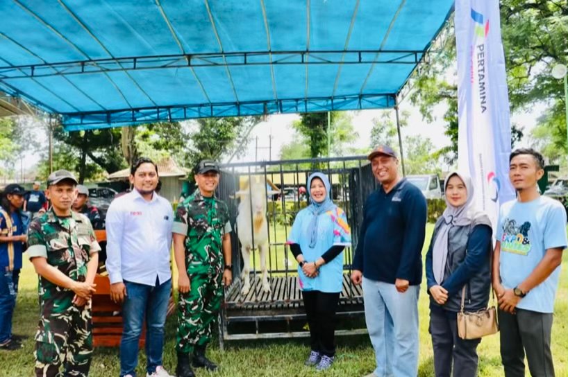 917E46A3 5542 4B34 80C9 BC3247F73B32