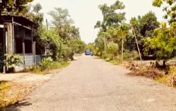 Akses Utama Desa Mayangkawis Bojonegoro Diaspal, Mobilitas Warga dan Pelajar Lancar