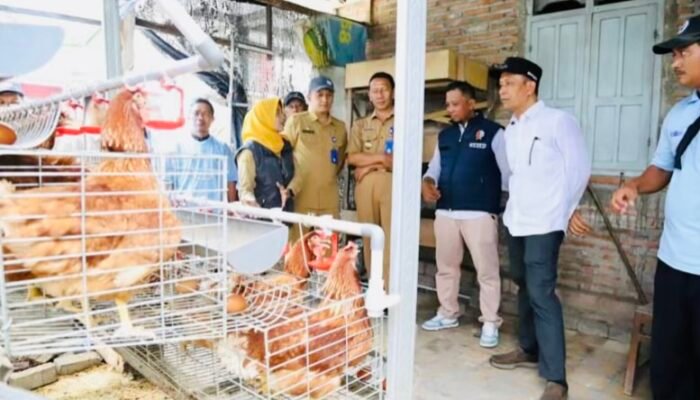 Bupati Setyo Wahono Resmi Luncurkan Program GAYATRI Ayam Petelur Bojonegoro