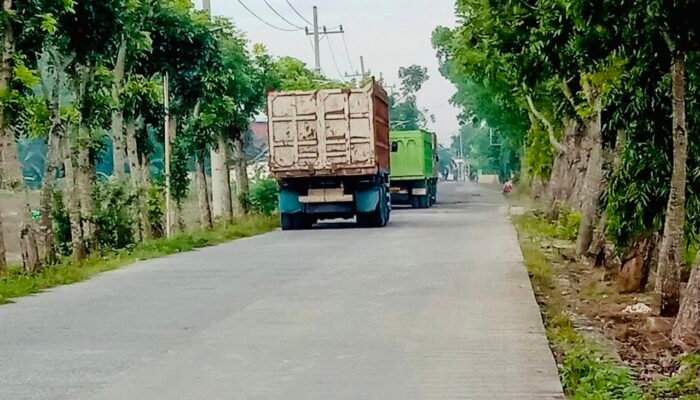 Kades Suwaloh Diduga Biarkan Truk Pasir Rusak Jalan Desa Demi Cuan