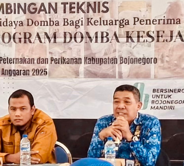 E6926D87 AEDC 43C5 A65E 5EB7AC130FE2