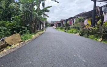 082AD9E6 8AFA 4E65 9C94 616AA3AF38E0