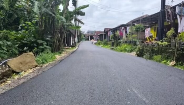 Dana BKKD Ubah Wajah Desa Kesongo Kedungadem Bojonegoro