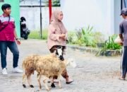 0E92C6C9 4DA1 4BCE A1A6 0E2203145A64