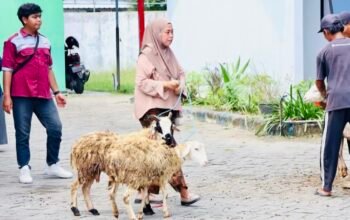 0E92C6C9 4DA1 4BCE A1A6 0E2203145A64