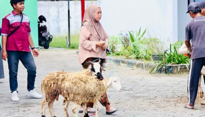 Pemkab Bojonegoro Salurkan 2.400 Domba Kesejahteraan
