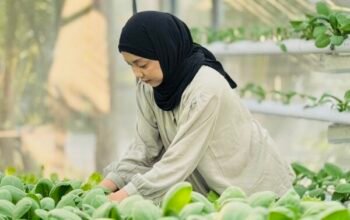 Isna Nur Rafidah: Pionir Pertanian Modern dari Desa Campurejo
