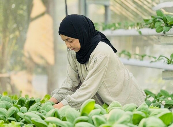 3376C237 780C 4172 9E8C F88B5ECF79A3