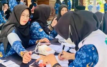 743950A4 1DDE 4E80 A335 939870B7D693