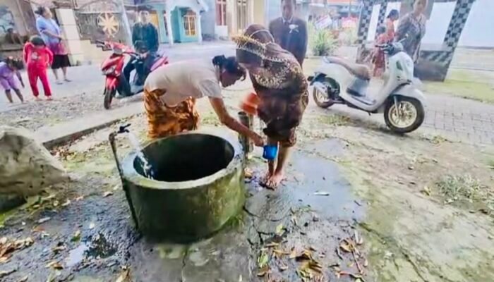 Ijuk Nganten Desa Sraturejo Bojonegoro Diakui WBTb Indonesia