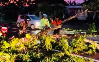 8DF734EA CD5C 4724 9EF2 0E8E731E6519