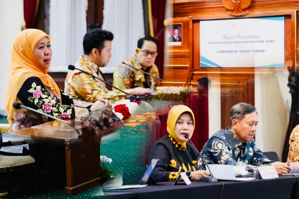 8E15AFF2 8B6F 4921 A206 A0DE5932EAEC