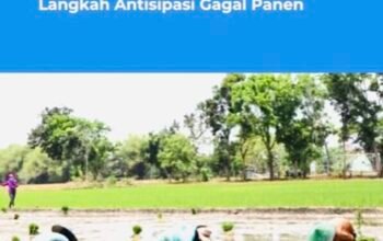 Jamin Modal Kerja, 11.745 Petani Bojonegoro Ikut AUTP