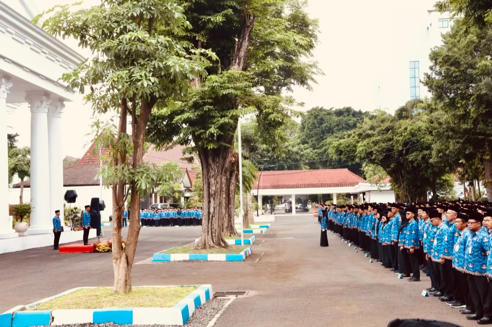 D9E94259 ED0F 467A 8FE1 52BDCA7491EF