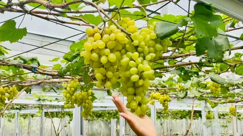 164C690B F349 4C5C 8676 FB5613DC78C0