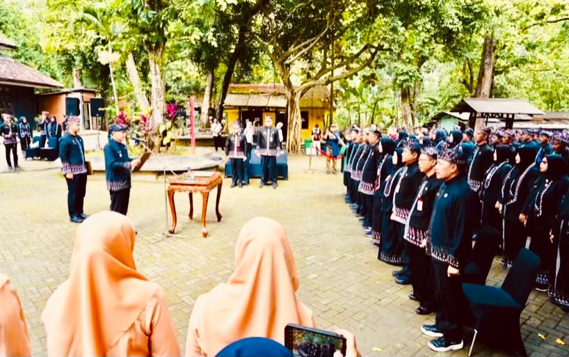 23825FE1 B026 4EB3 83F9 2D273F0CB843