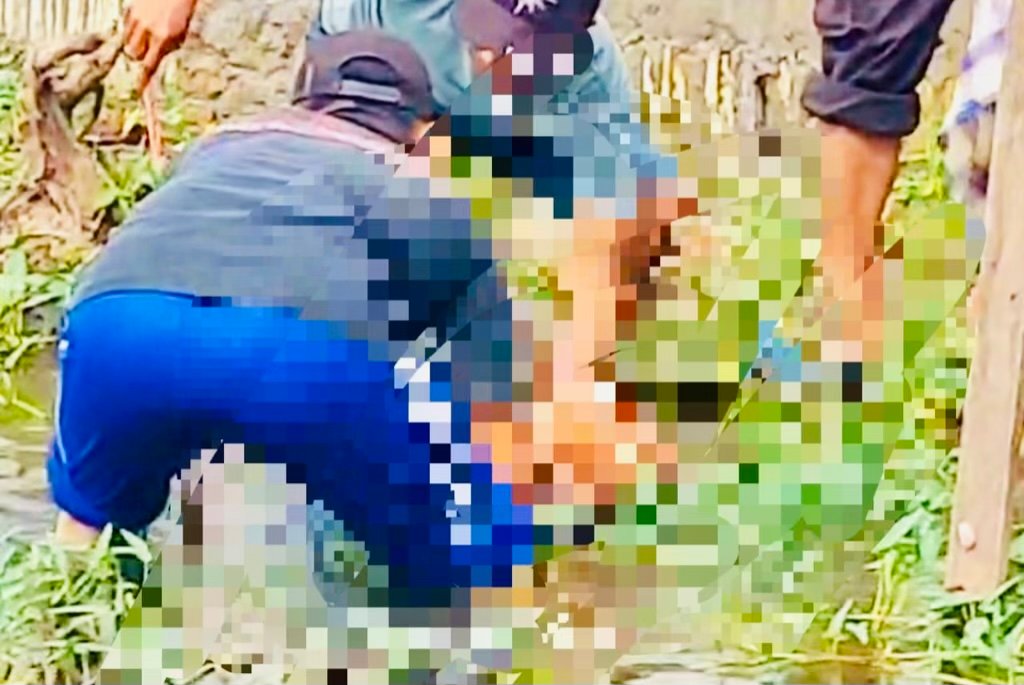 43D16B74 30A2 444F B014 73EAE2B5ED2C