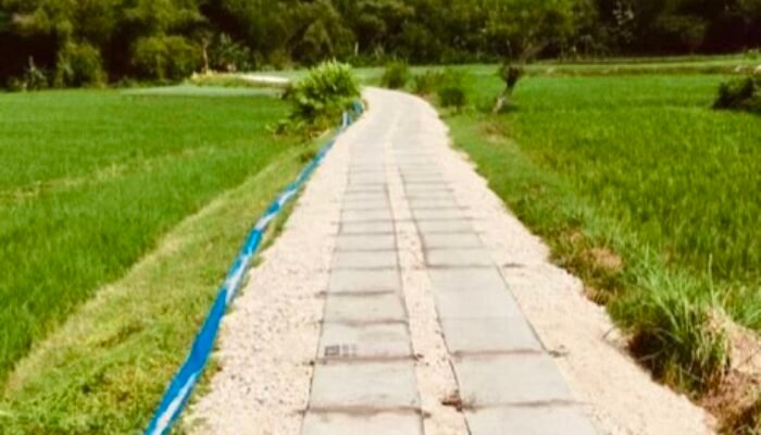 Pemkab Bojonegoro Kucurkan Rp31,1 Miliar untuk 163 Titik JUT