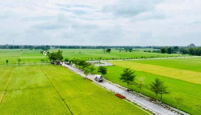 Mulus! Jalan Cor Mulyoagung Balen Kini Tembus Kota Bojonegoro