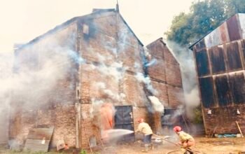 786D82D0 B77B 4B0C B9B2 523F60FFC454