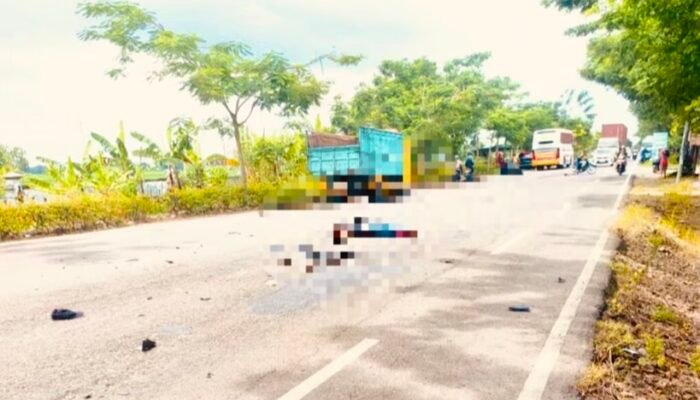 Kecelakaan Maut di Mejuwet Bojonegoro: Pengendara Supra Tewas Tertabrak Xpander