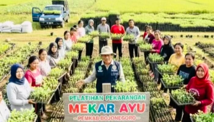 Pemkab Bojonegoro Luncurkan 65.000 Bibit di  Program Mekar Ayu