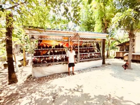 D09F1F13 D621 424F 9CCA 564144AA589F