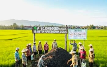 D580E08B E4EF 48ED 998C 71403068DD31