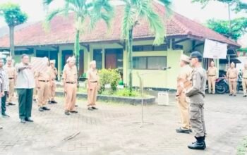 DA3E5F76 662F 4B96 8538 C30AE1F62255