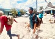 E3528E9E 9E94 4B60 A499 4E1F34F9FB31